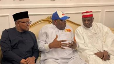 NDC focused on ideology not presidential ambitions, says Dickson 7 Peter Obi Seriake Dickson and Rabiu Kwankwaso 768x576 1