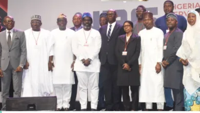 NRS targets N40trn revenue, identifies leakages in VAT remittance by states, agencies 10 Screenshot 19 5 2026 204241 nannews.ng