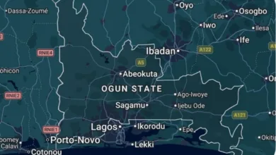Ogun police arrest two over cattle theft, foil suspected abduction 6 Screenshot 20260517 153252
