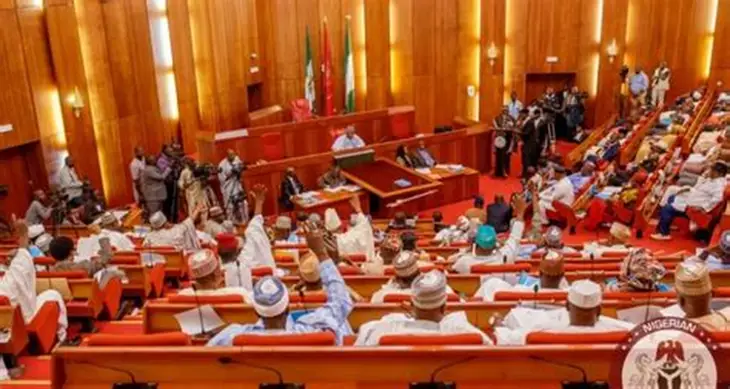 BREAKING: Senate approves constitutional amendment bill on state police 1 Senate