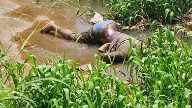 Ondo family petitions police over alleged relative’s murder 2 b47ca106 efeb 4209 8e36 c07170b8a4f9