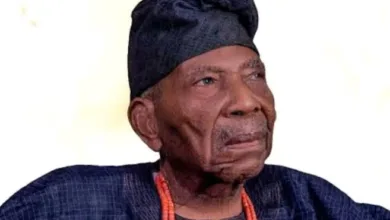 Yorubaland under terror threat- Afenifere warns 5 images 218