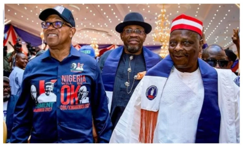 NDC formally ratifies Obi as presidential candidate for 2027 election 1 peter ndc 1000x600 1