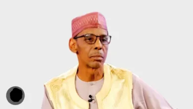 Gradually, the identity of Nigeria’s real enemies is being exposed — by Olabode Opeseitan 8 1782809359719