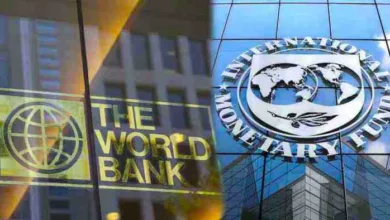 Why IMF and World Bank are wrong on poverty: The devil is in the data — by Tope Fasua 1 IMF World Bank