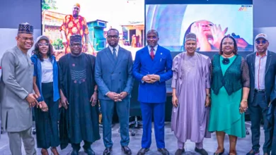 FG launches free TV platform, projects jobs, economic growth 10 IMG 20260617 WA0030