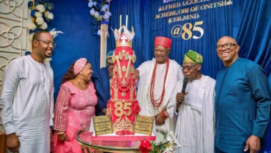 Obi of Onitsha's birthday celebration in Lagos: A missed opportunity for culture — by Kayode Adebiyi 5 IMG 20260622 WA0006