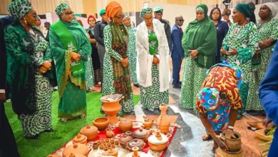 Problem is not that First Lady mentioned akara! — by Aderemi Ogunpitan 8 IMG 20260627 WA0004