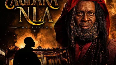 Agbara Nla remake versus the outrage of isese adherents — by Paul Dada 6 IMG 20260627 WA0009