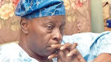 Olu Falae’s The Triumph of Grace: Critical insights for deepening administrative reform in Nigeria — by Tunji Olaopa 8 IMG 20260627 WA0019