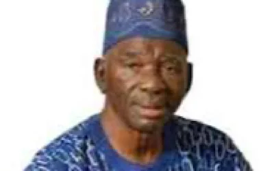 Tinubu’s 2027 campaign will focus on achievements, says Olusi 1 IMG 1438