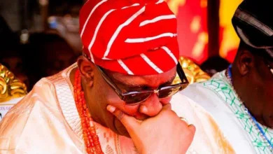 We are mobilising, taking action against insecurity — Soun of Ogbomoso 7 IMG 20260613 223502 6 x 4 inch
