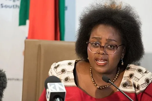 Xenophobia: Our artistes losing gigs, businesses affected, South African minister laments 1