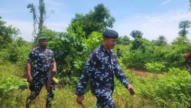 Ondo police destroy suspected criminal camps in forest operation 1 IMG 20260618 142523 6 x 4 inch