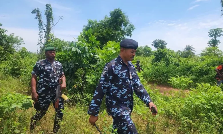 Ondo police destroy suspected criminal camps in forest operation 1 IMG 20260618 142523 6 x 4 inch