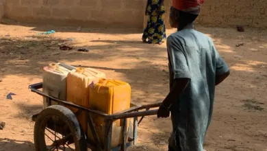 World Day Against Child Labour: Oluremi Tinubu calls for stronger protection of children’s rights 8 IMG 4834