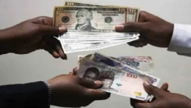 17-year high FX reserves: ‘Tinubu administration will continue to prove cynics wrong’ — TMSG 10 IMG 4836