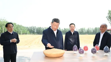 Xi calls for solid measures to modernize agriculture, rural areas 5 IMG 6557