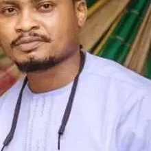 America borrows power, Nigeria borrows survival, by Blaise Udunze 5 MY PROFILE PIX