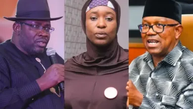 Seriake Dickson, Obidients and the NDC's marriage of convenience — by Bamidele Johnson 1 Screenshot 20260612 124809