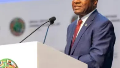 Africa can unlock over $469bn annually without increasing tax rates, says AfDB 3 Screenshot 4 6 2026 181150 www.thecable.ng