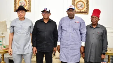 Dickson hosts Peter Obi, calls for end to name-calling in NDC 4 Seriake Dickson meets Obi 2026 06 12 599 768x512 1