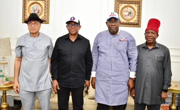 Dickson hosts Peter Obi, calls for end to name-calling in NDC 1 Seriake Dickson meets Obi 2026 06 12 599 768x512 1