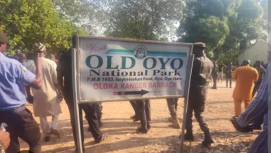 Oyo group seeks return of Old Oyo National Park over insecurity concerns 6 WhatsApp Image 2026 06 19 at 7.00.37 PM