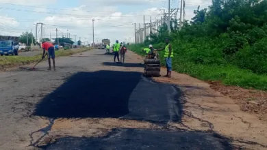 FERMA clears overgrown vegetation on Kwara road to tackle insecurity 10 b3fa6d1e a946 4613 9031 943d51b5fb9a