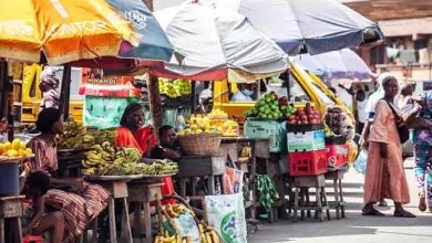The rubber-ruler fallacy: Response to price changes under Tinubu — by Tanimu Yakubu 9 images 2026 06 07T124642.741