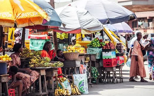The rubber-ruler fallacy: Response to price changes under Tinubu — by Tanimu Yakubu 1 images 2026 06 07T124642.741