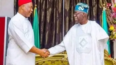 Tinubu’s performance will earn him reelection in 2027, says Uzodimma 3 images 2026 06 10T133534.336
