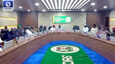 Governors reaffirm push for state police, power reforms 12 ngf