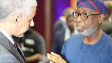 Nigeria, AfDB urge African nations to process minerals locally for economic growth 12 22aff52d 6ec8 4f22 bed8 d81370e44d6a