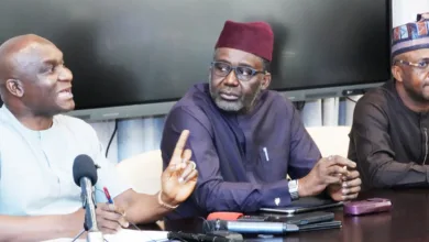 FG, NDDC to launch $500m Niger Delta agriculture fund, Shettima to chair board 4 275e75a1 34c3 43e4 ae7c be615809b57b