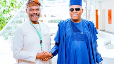 Shettima hails Tinubu on regional commissions, tasks S’West body 1 30586390 5d32 4222 928c 0cb36ead5bd1