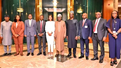Nigeria’s economy on steady growth path, Tinubu tells Deloitte 6 3f28b90e 2169 4e0d ad97 95ca3d16b05e