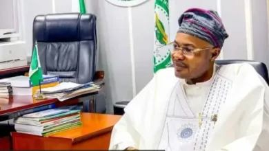 Adeyemi: Fake agency, outrage and presidential statesmanship — by Olabode Opeseitan 3 IMG 20260708 WA0004