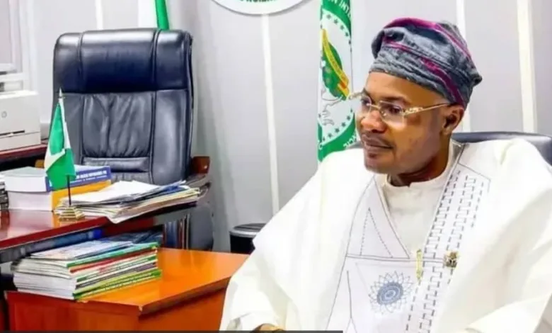 Adeyemi: Fake agency, outrage and presidential statesmanship — by Olabode Opeseitan 1 IMG 20260708 WA0004