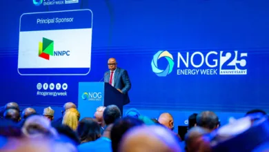 100% of zero is zero: What NLNG teaches us about the Bonga South-West tax incentive — by Babs Omotowa 3 IMG 20260722 WA0001