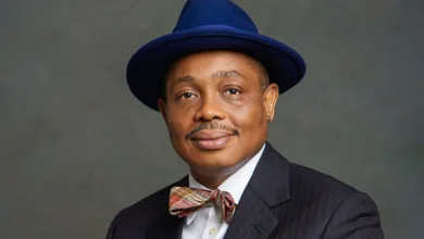Osigwe warns lawyers against using courts, politicians to influence NBA poll 7 IMG 20260709 065332 6 x 4 inch