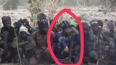 Troops kill ISWAP terrorists in Borno, uncover foreign trainers 3 IMG 20260712 201242 6 x 4 inch