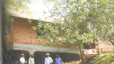 Inside Ijegba forest: Wole Soyinka’s love for nature and eco-friendly home — by Ademola Adegbamigbe 9 IMG 20260713 111657 6 x 4 inch