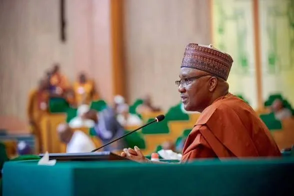 Reps don’t need Tinubu to explain budget implementation, says Agbese 1 IMG 7346