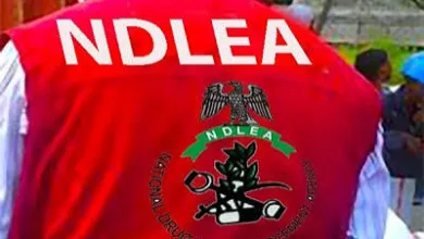 NDLEA uncovers plot by international cartels to set up meth labs in South-West 1 IMG 9407