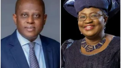 Global economic shifts offer Nigeria, Africa path to growth — Okonjo-Iweala, Cardoso 2 IMG 9788