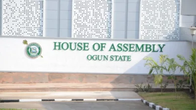 Ogun Assembly 1024x678 1
