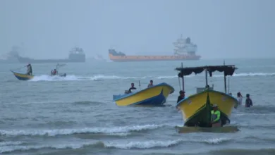 Oman presents Gulf-backed plan to Iran on voluntary Strait of Hormuz fees 8 Screenshot 20260728 132450
