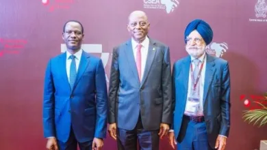 FG deployed fuel subsidy savings to service rising debt obligations, says Oyedele 2 Screenshot 31 7 2026 81546 thenationonlineng.net