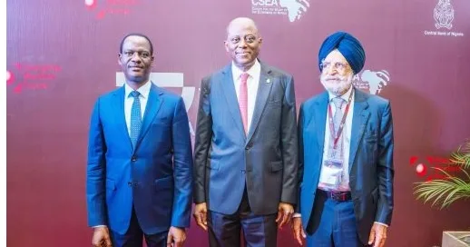 FG deployed fuel subsidy savings to service rising debt obligations, says Oyedele 1 Screenshot 31 7 2026 81546 thenationonlineng.net